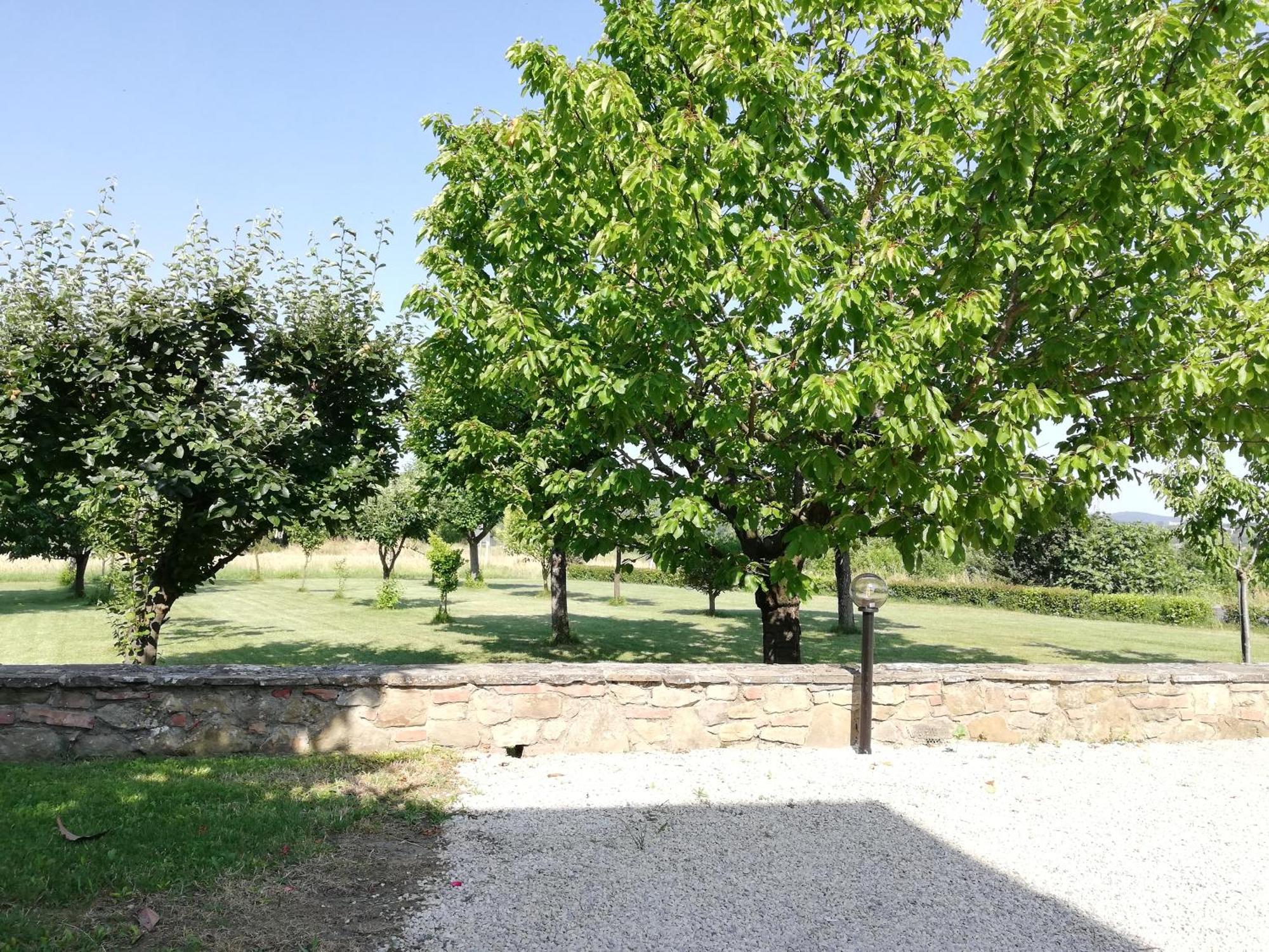 Il Papavero Verde Lucignano Exterior photo